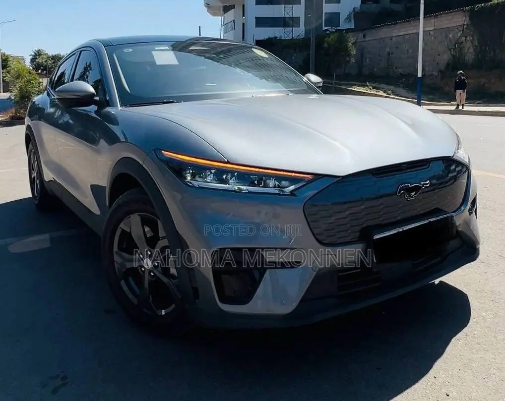 New Ford Mustang 2024 Gray