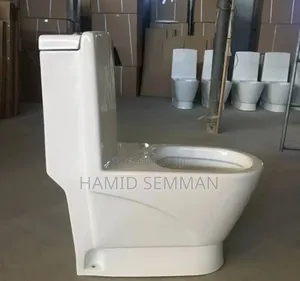 Photo - Gold Dragon Toilet