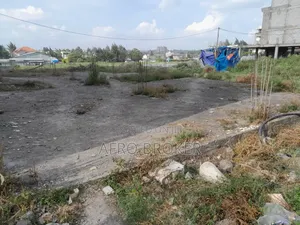 1bdrm House in Alem Bank, Akaky Kaliti for sale