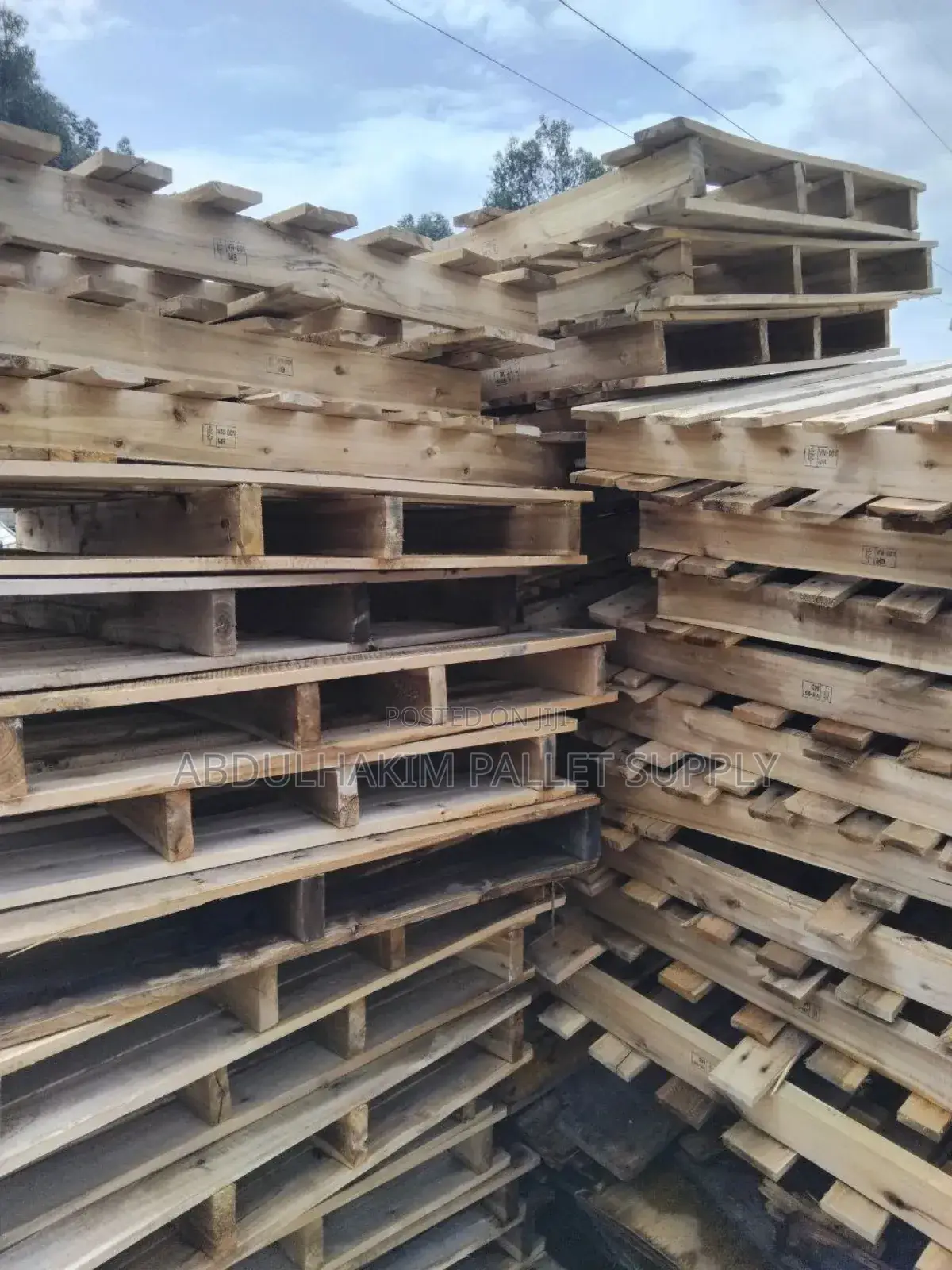 Pallet for Store