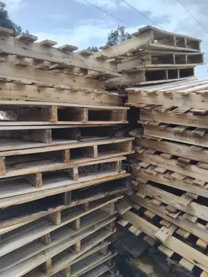 Pallet for Store