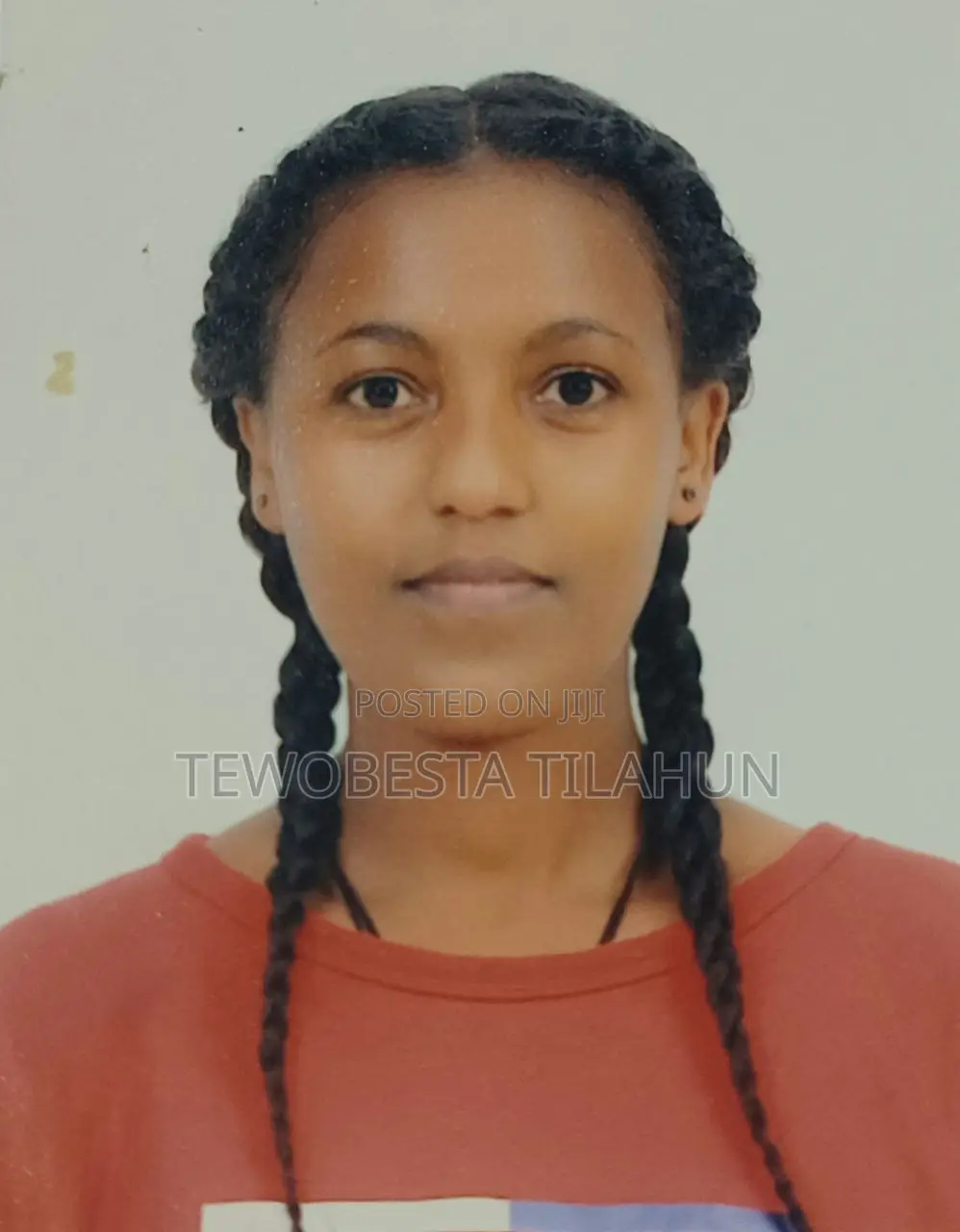 Online CVs Work From Home Promoting Using Phone