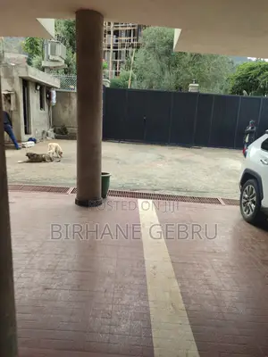 G+6 Luxury Apartiment Forliving or Office Rent