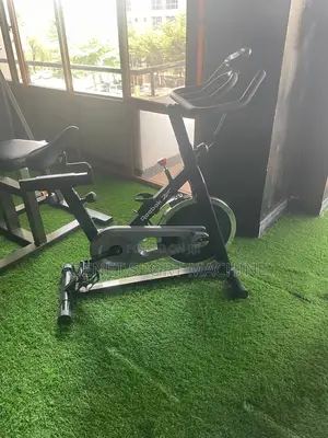 Photo - Reebok Sprint የቤት ዉስጥ የስፖርት ሳይክል