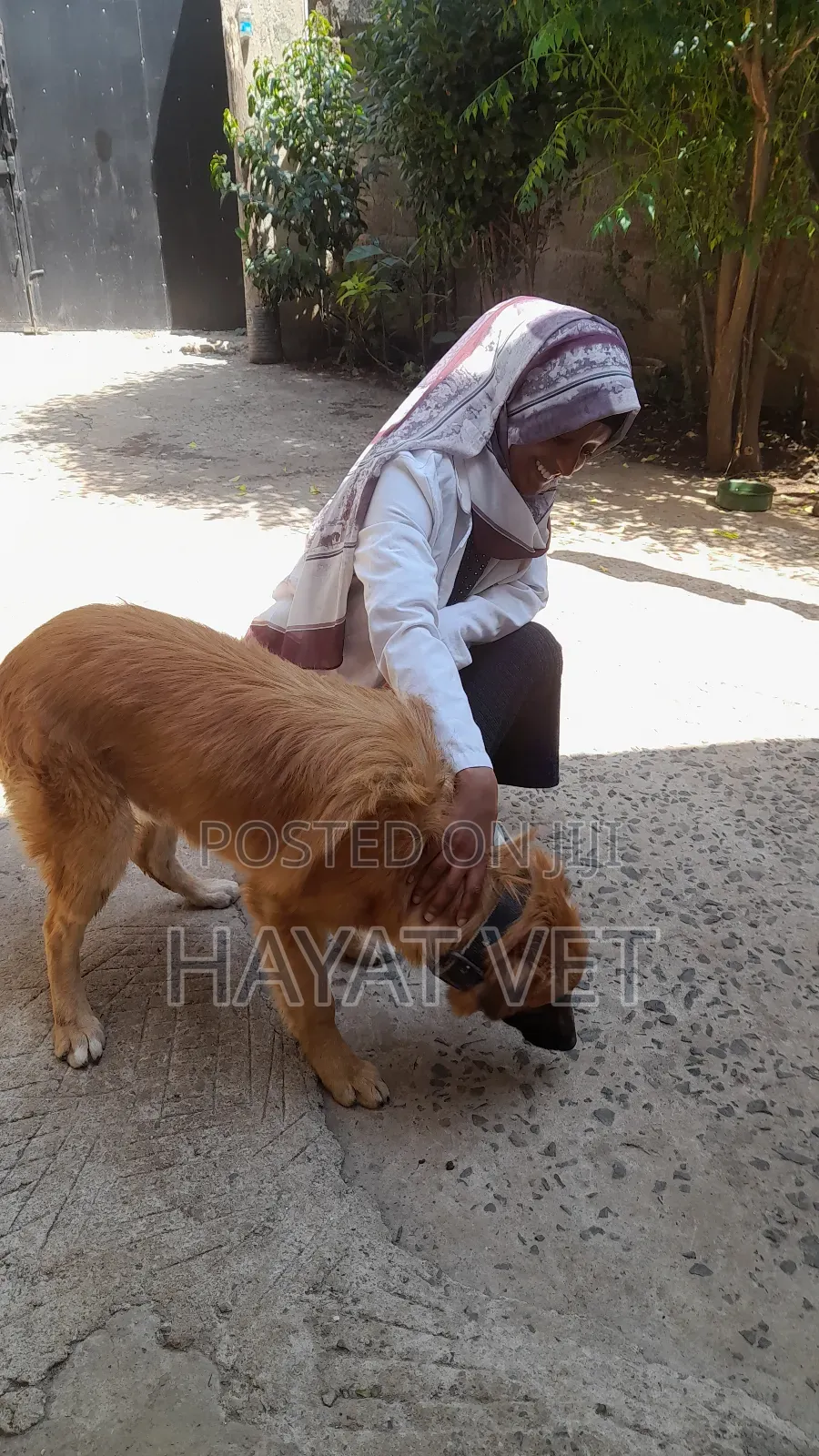 Animal Mobile Clinic