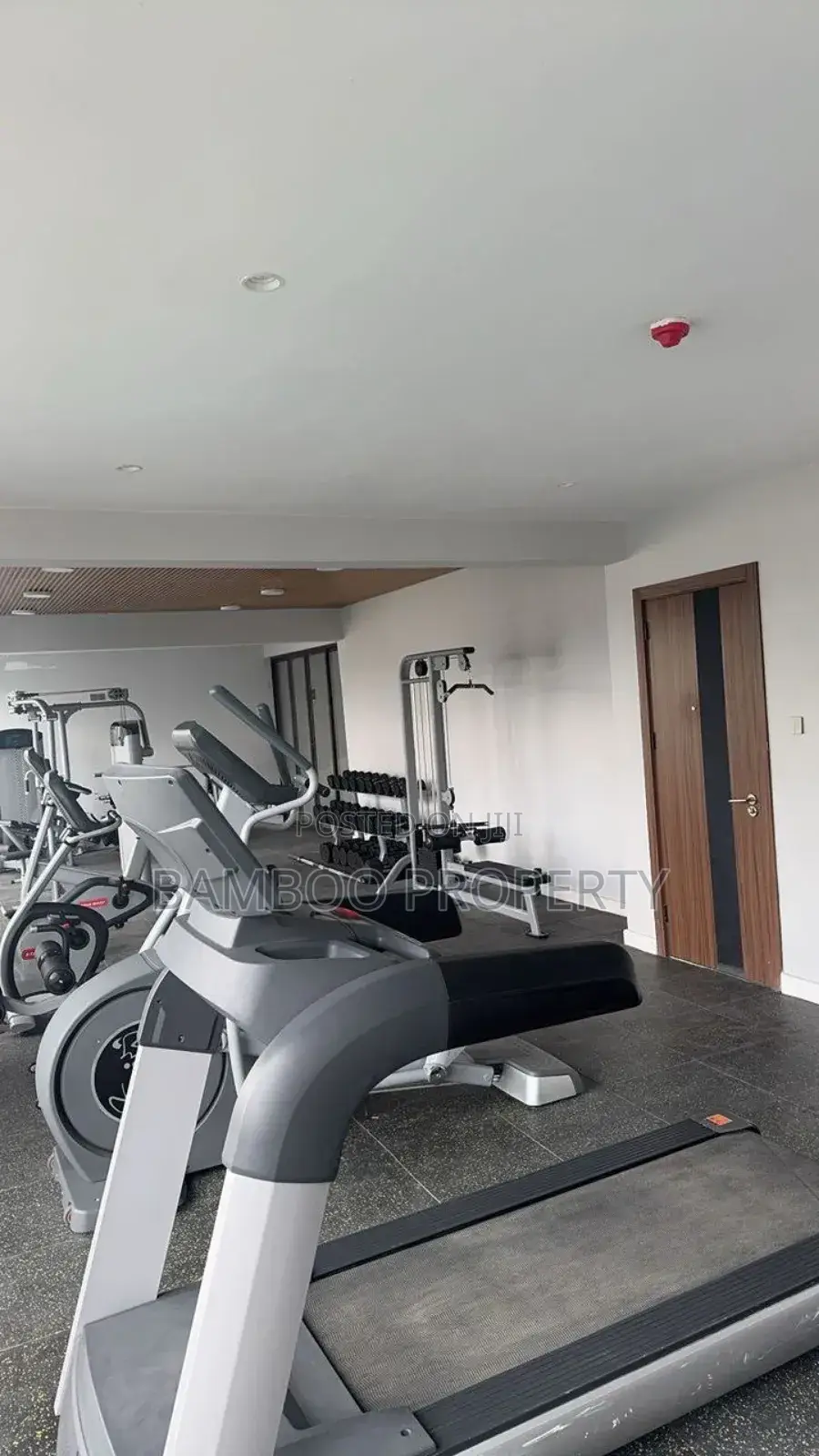 Furnished 3bdrm Apartment in Bole for rent