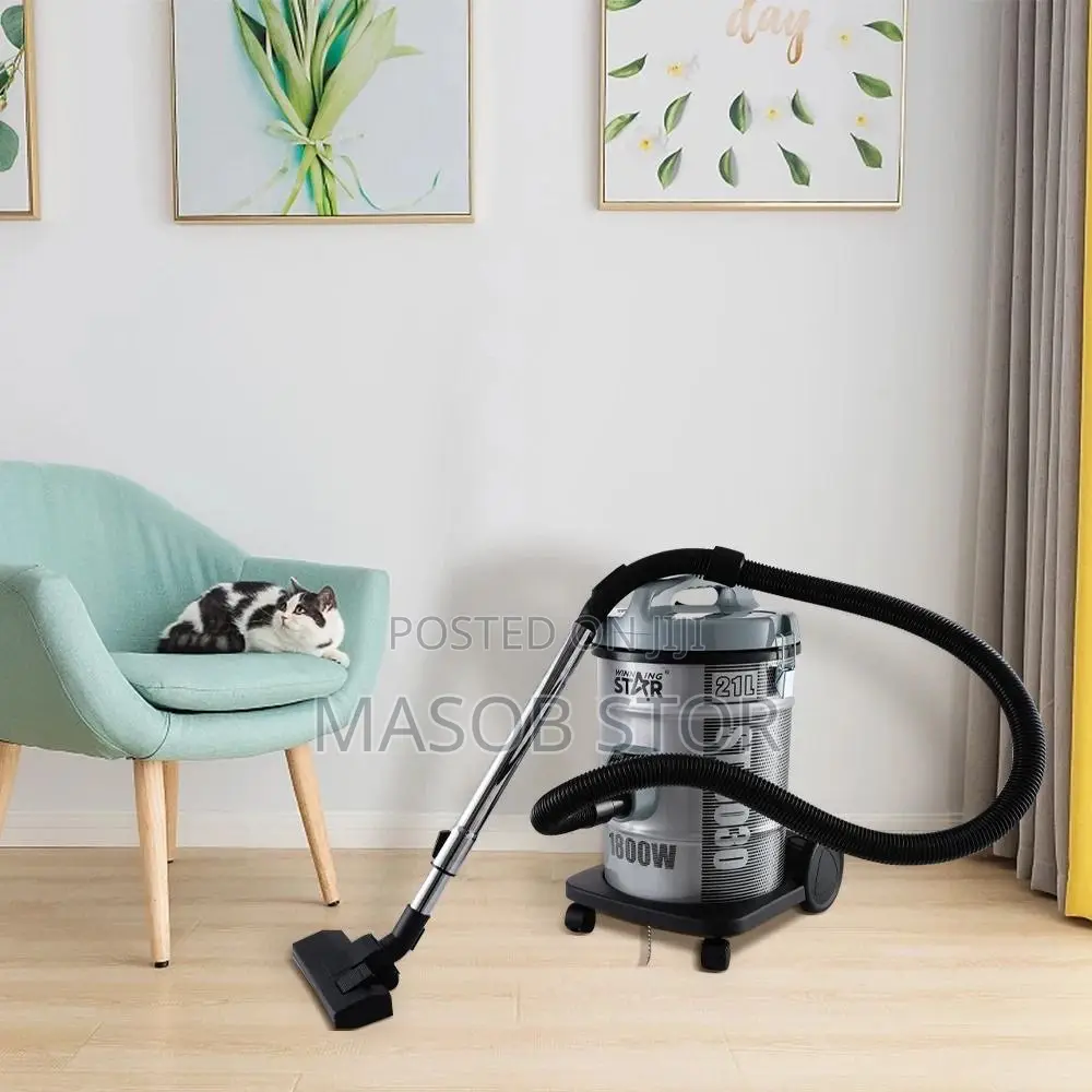 Winning Star Dry Vacuum Cleaner
