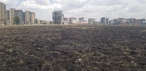 620sqm Plots of Land for Sale