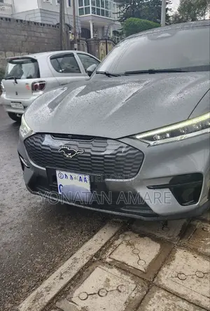 Photo - Ford Mustang Mach-E 2024 Gray