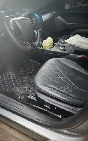 Ford Mustang Mach-E 2024 Gray