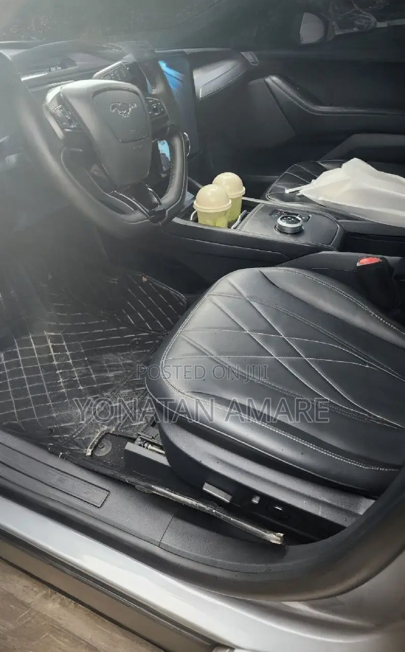 Ford Mustang Mach-E 2024 Gray