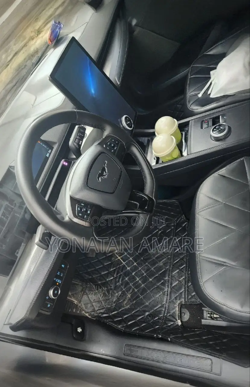 Ford Mustang Mach-E 2024 Gray