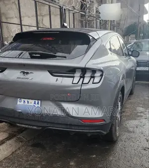 Ford Mustang Mach-E 2024 Gray