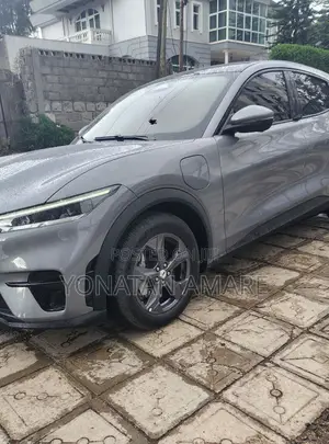Ford Mustang Mach-E 2024 Gray