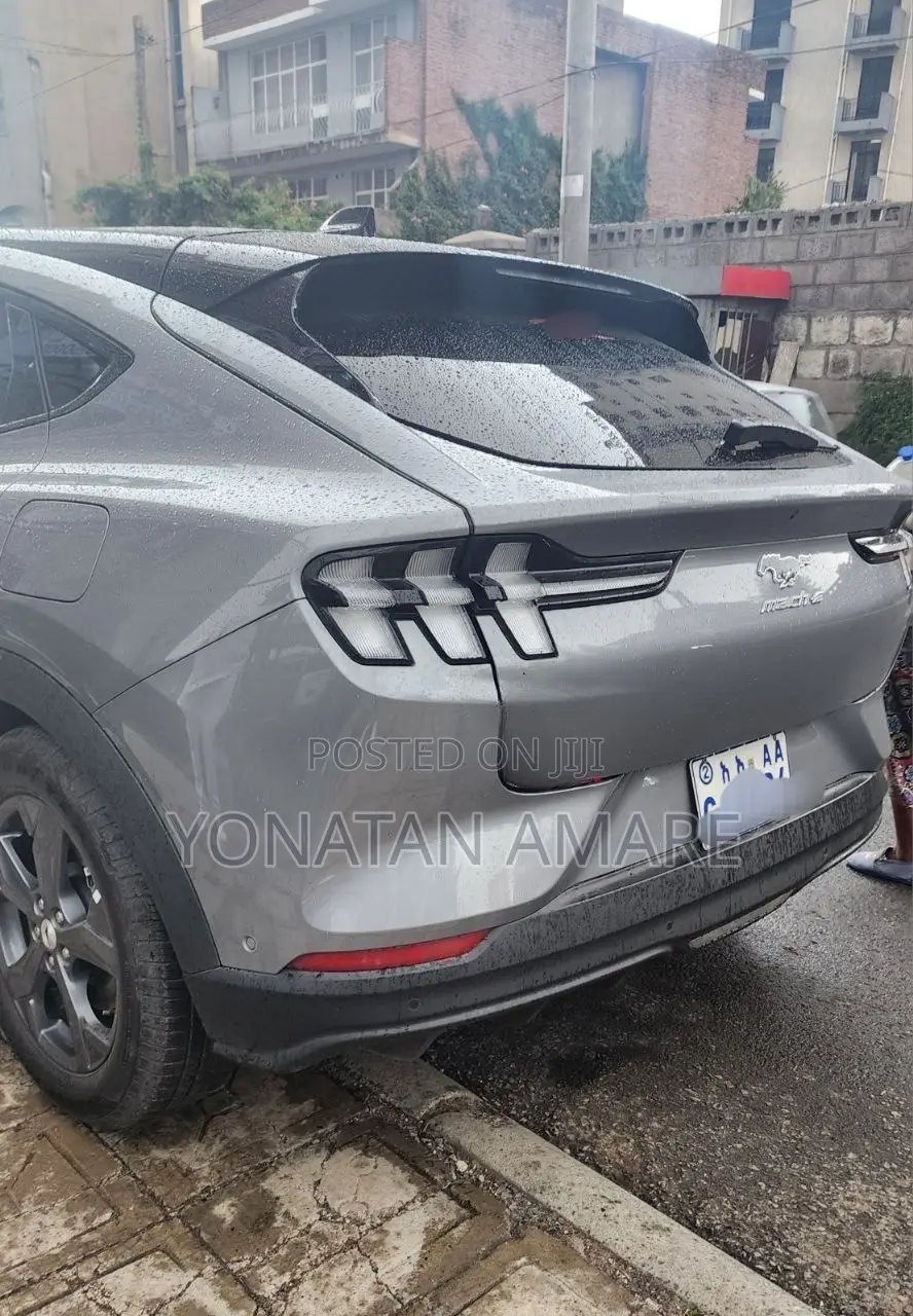 Ford Mustang Mach-E 2024 Gray