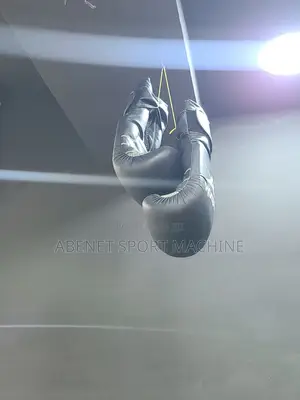 Photo - ዘመናዊ የreebok Boxing Gloves