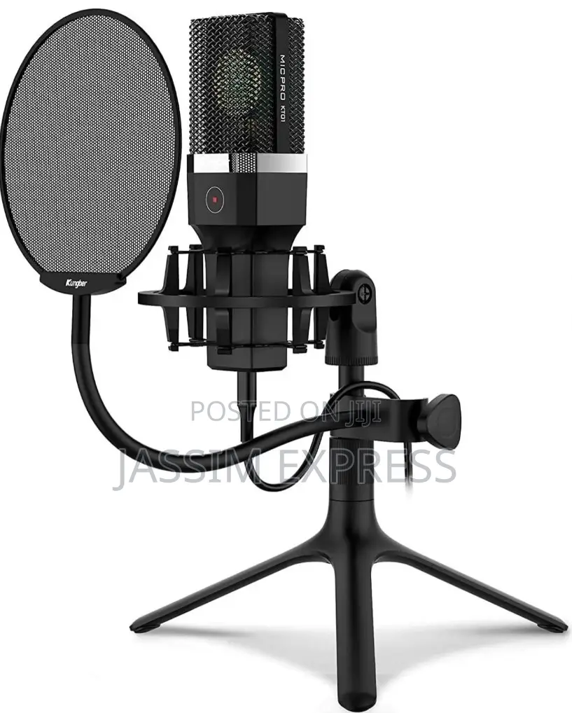 Computer Condenser Microphone