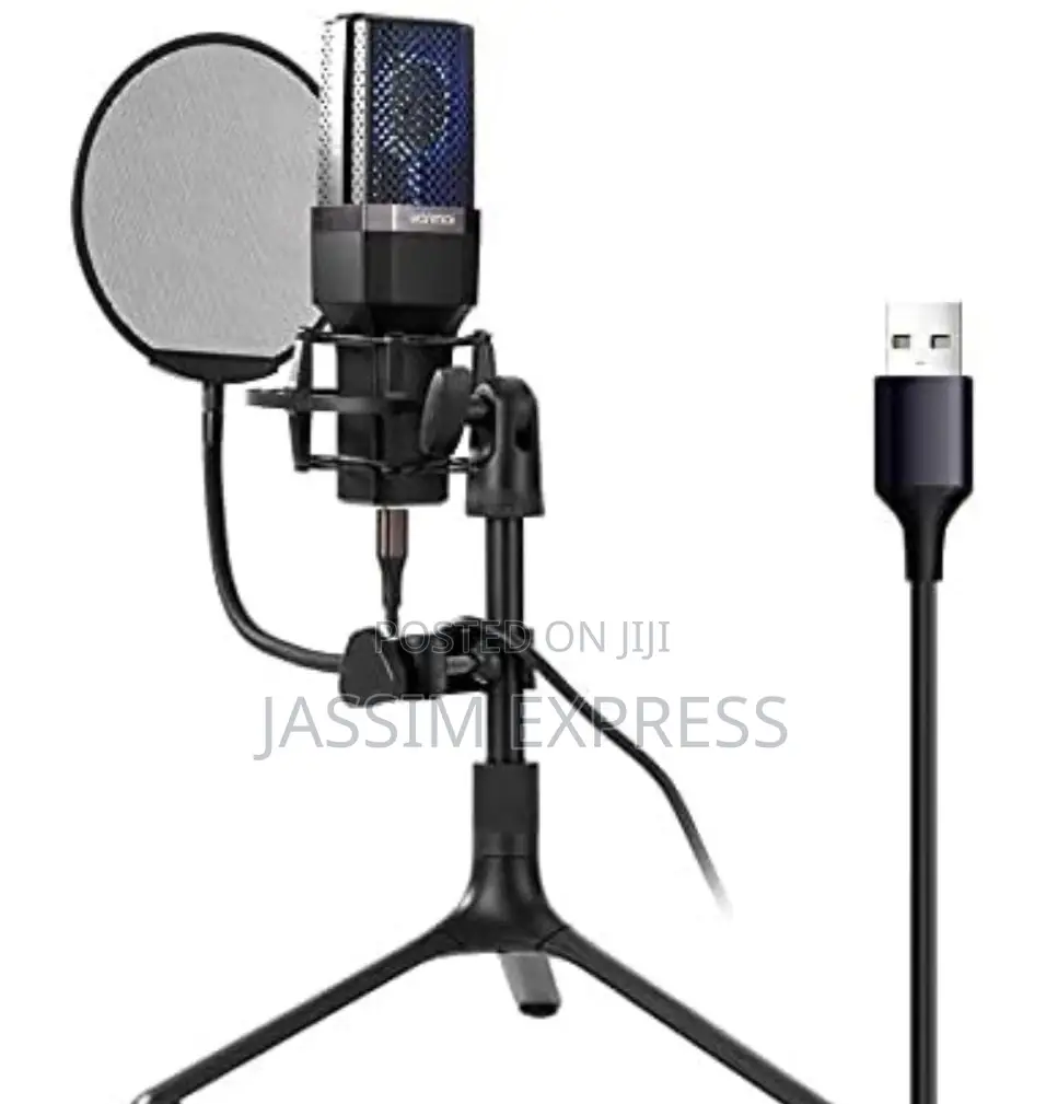 Computer Condenser Microphone