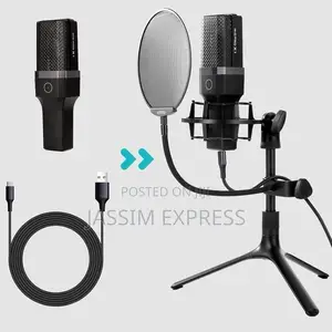 Photo - Computer Condenser Microphone