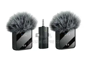 Photo - Dual Wireless Microphone With Intelligent Noise Reduction