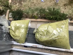 Photo - Djibouti Hina (Henna)