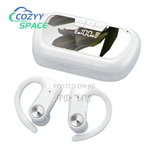 Photo - Q2s Wireless Airbud