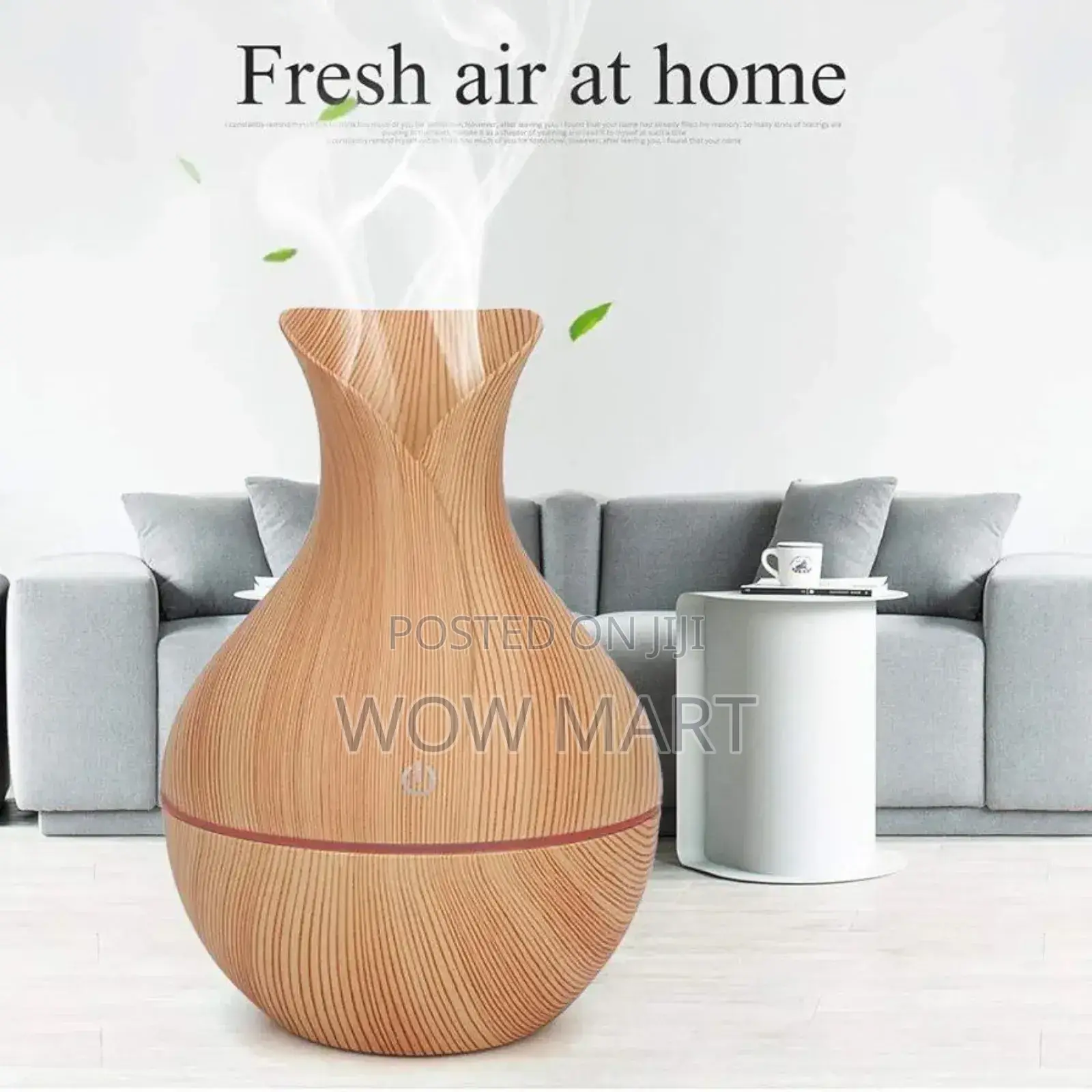 Ultrasonic Aroma Humidifier
