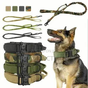 Photo - Collar for All Dogs