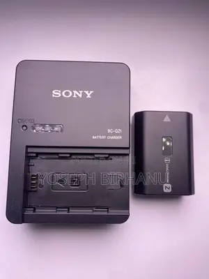 Photo - Battery and Charger for Sony Mirrorless Camera