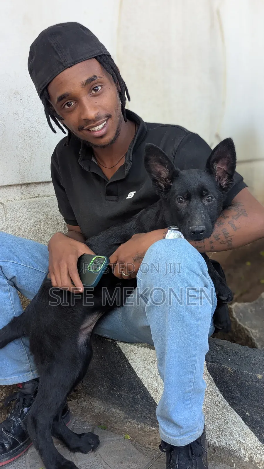 1-3 months Male Purebred German Shepherd