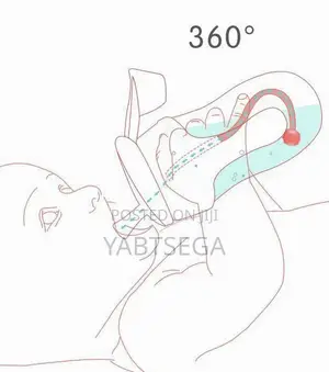 Photo - ጡጦ ማስጣያ Potato Pp Cup With Holder