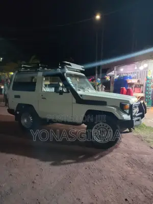 Toyota Land Cruiser 1991 White