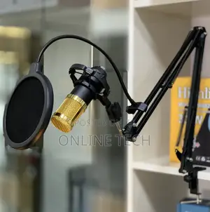 Photo - Podcast Microphone