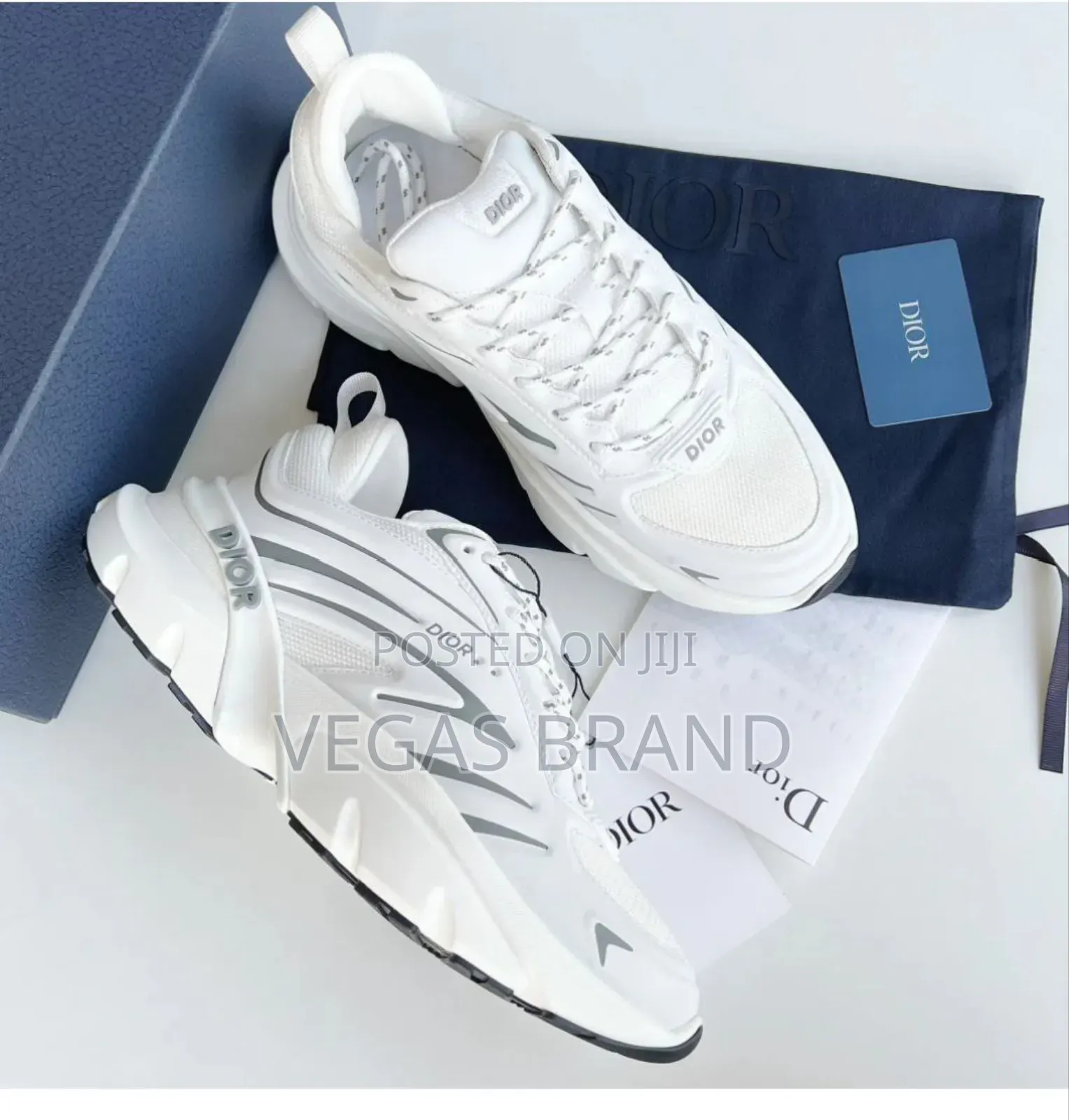 Dior B32's Unreleased Authentic White Master Quality Shoes