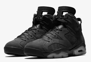 Jordan 6 Black Cat