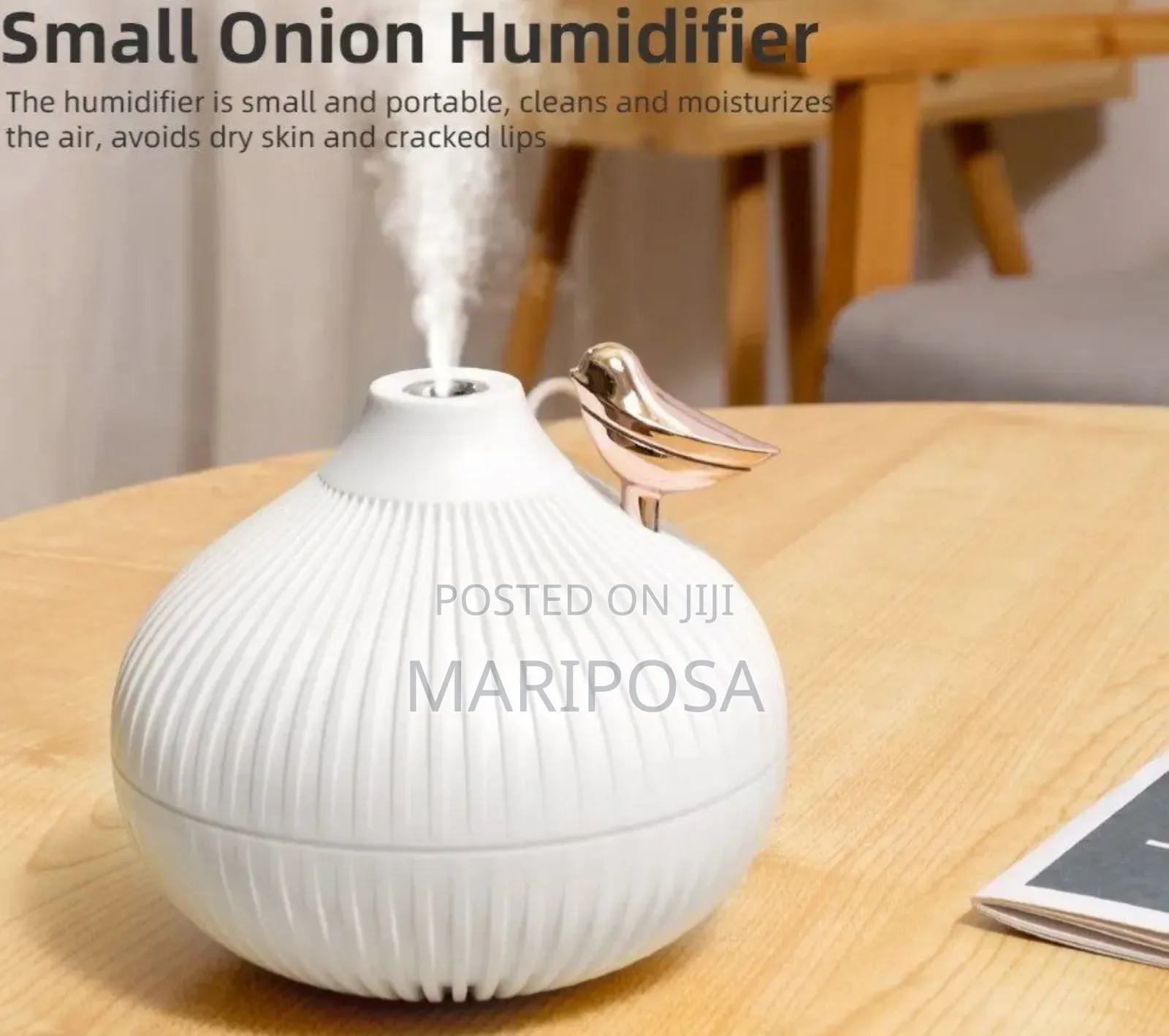 Onion Air Humidifier With Led Light
