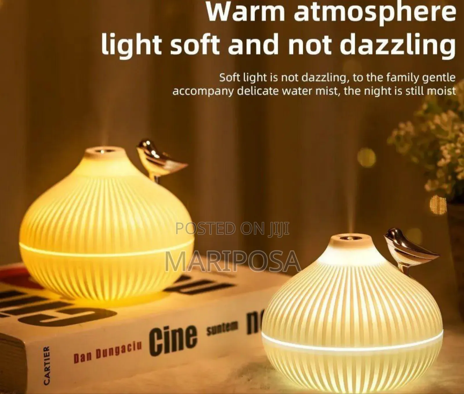 Onion Air Humidifier With Led Light