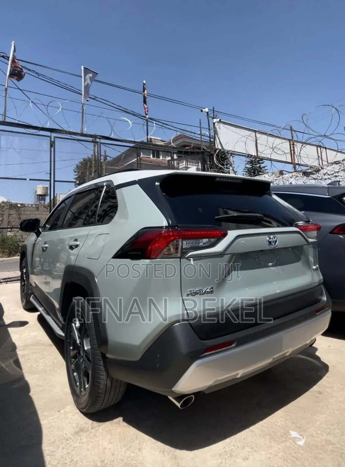 Toyota RAV4 2024 Green