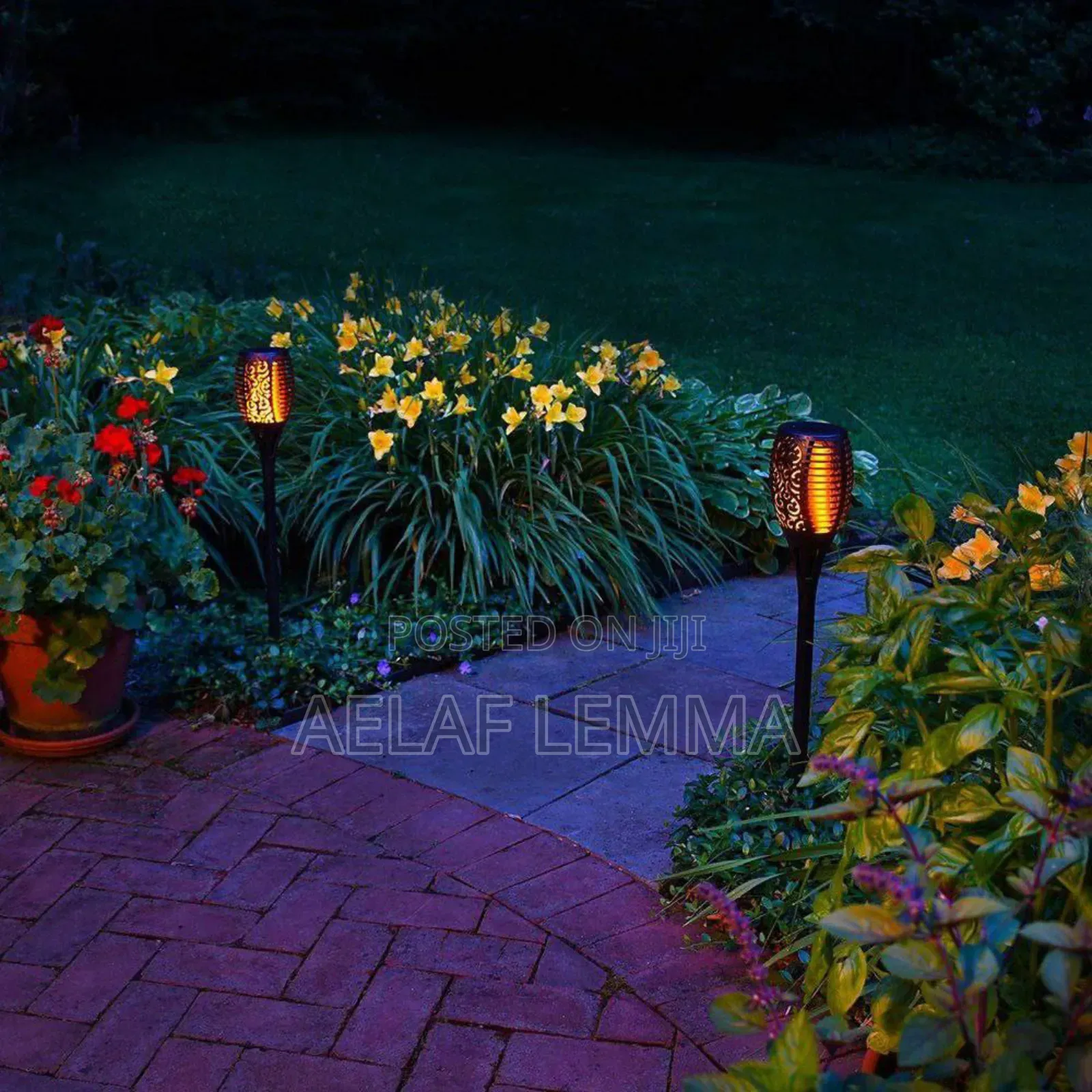 Solar Powered Flame Led Light