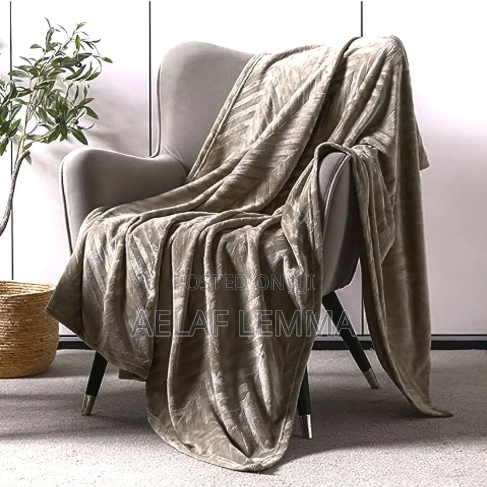 ጋቢ ለምኔ Comfortable