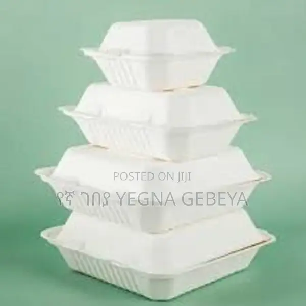 Takeaway Containers With Lids የቴካዌ እቃዎች Small Size