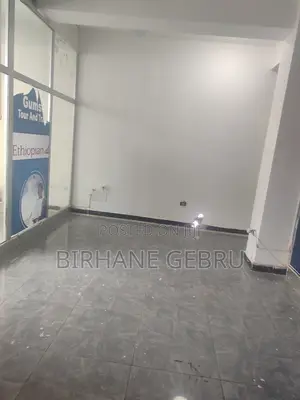 Luxury Apartiment Rent for Business