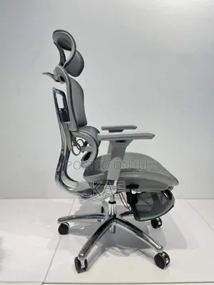 Ergonomic Chair