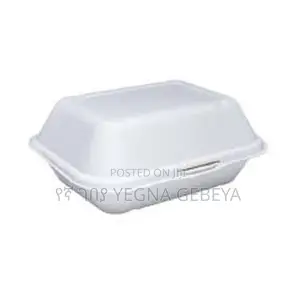 Takeaway Food Storage Boxes Medium Size