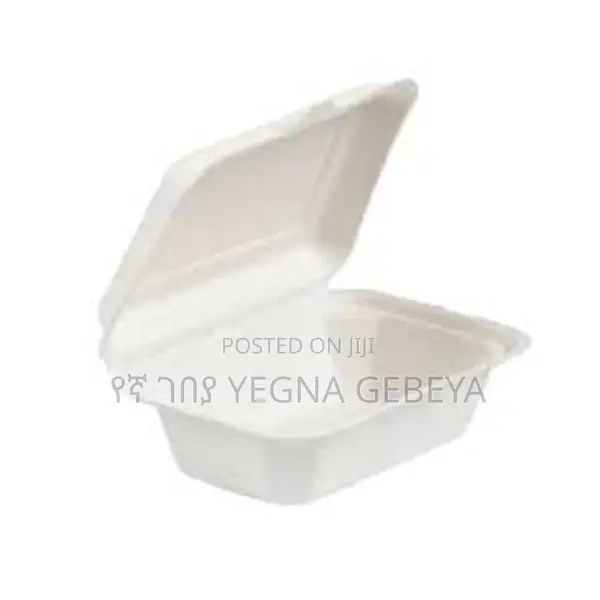Takeaway Food Storage Boxes Medium Size