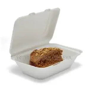 Takeaway Food Storage Boxes Medium Size
