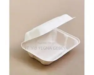 Takeaway Food Storage Boxes Medium Size