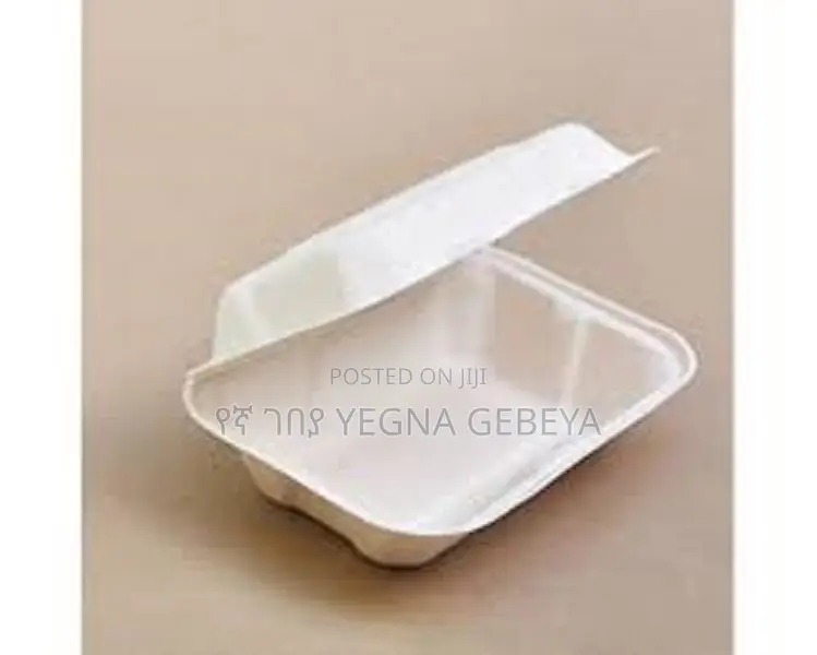 Takeaway Food Storage Boxes Medium Size