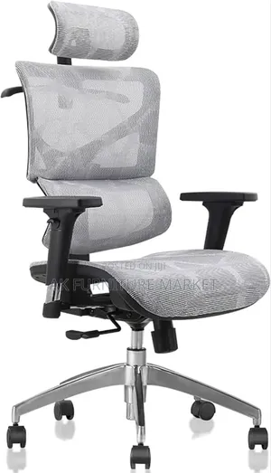 Photo - Modern Ergonmice Manager Chair