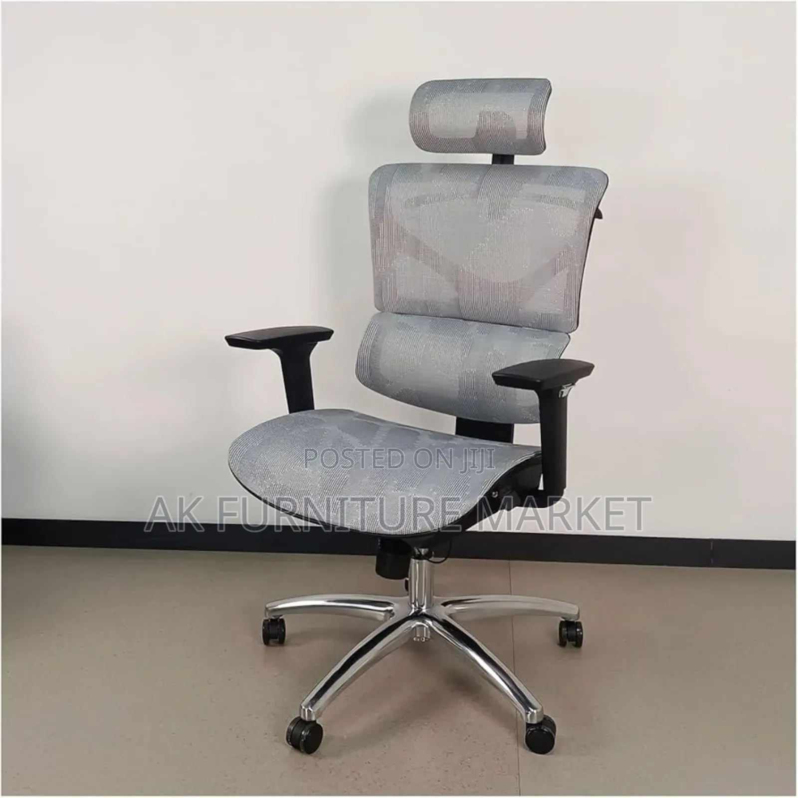 Modern Ergonmice Manager Chair